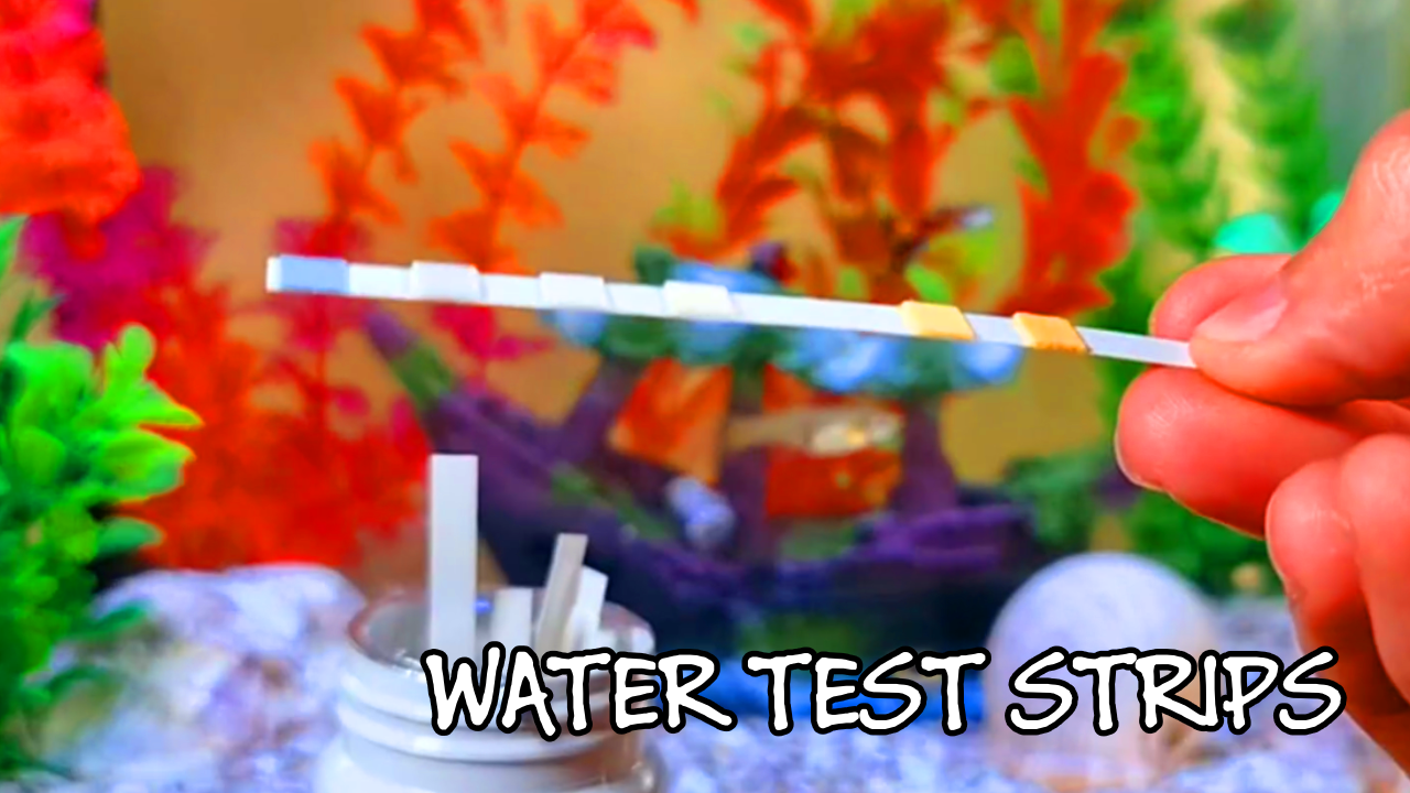 image of a water testing kit
