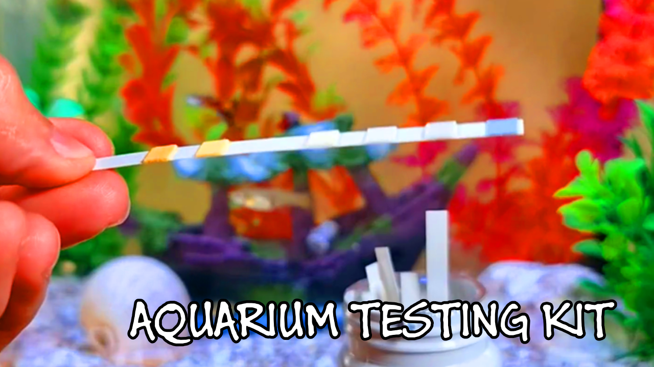 image of a water testing kit