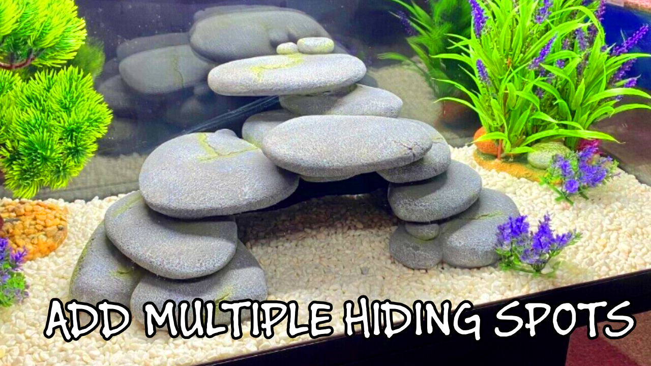 Photo of aquarium cave and other artificial plants