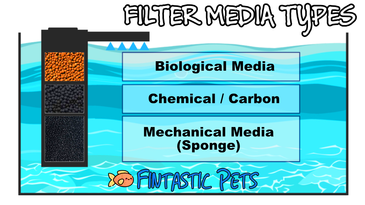 Diagram of the different types of filter media inside an aquarium pump