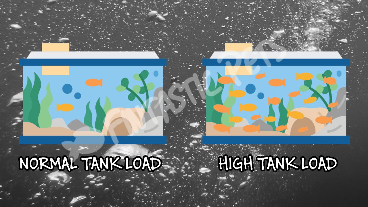 Graphic showing the difference between a normally stocked aquarium and a highly stocked aquarium