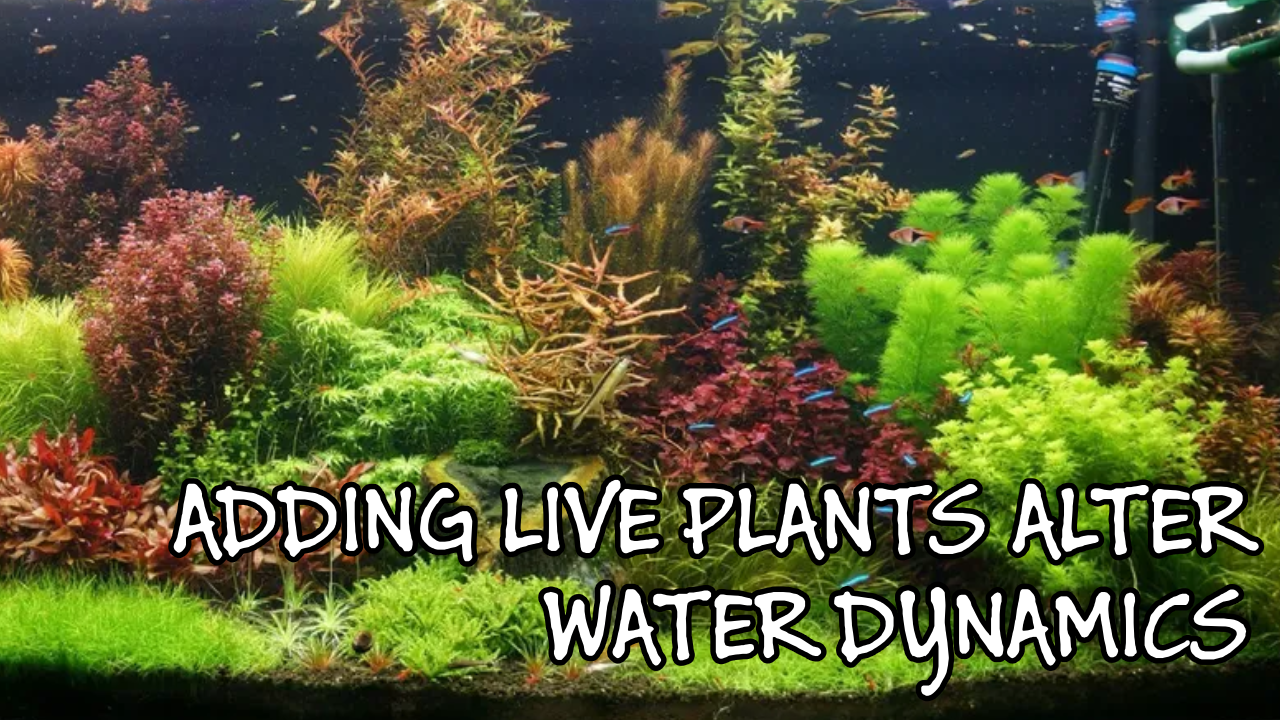 Photo of a very large aquarium with tetra fish and many live plants
