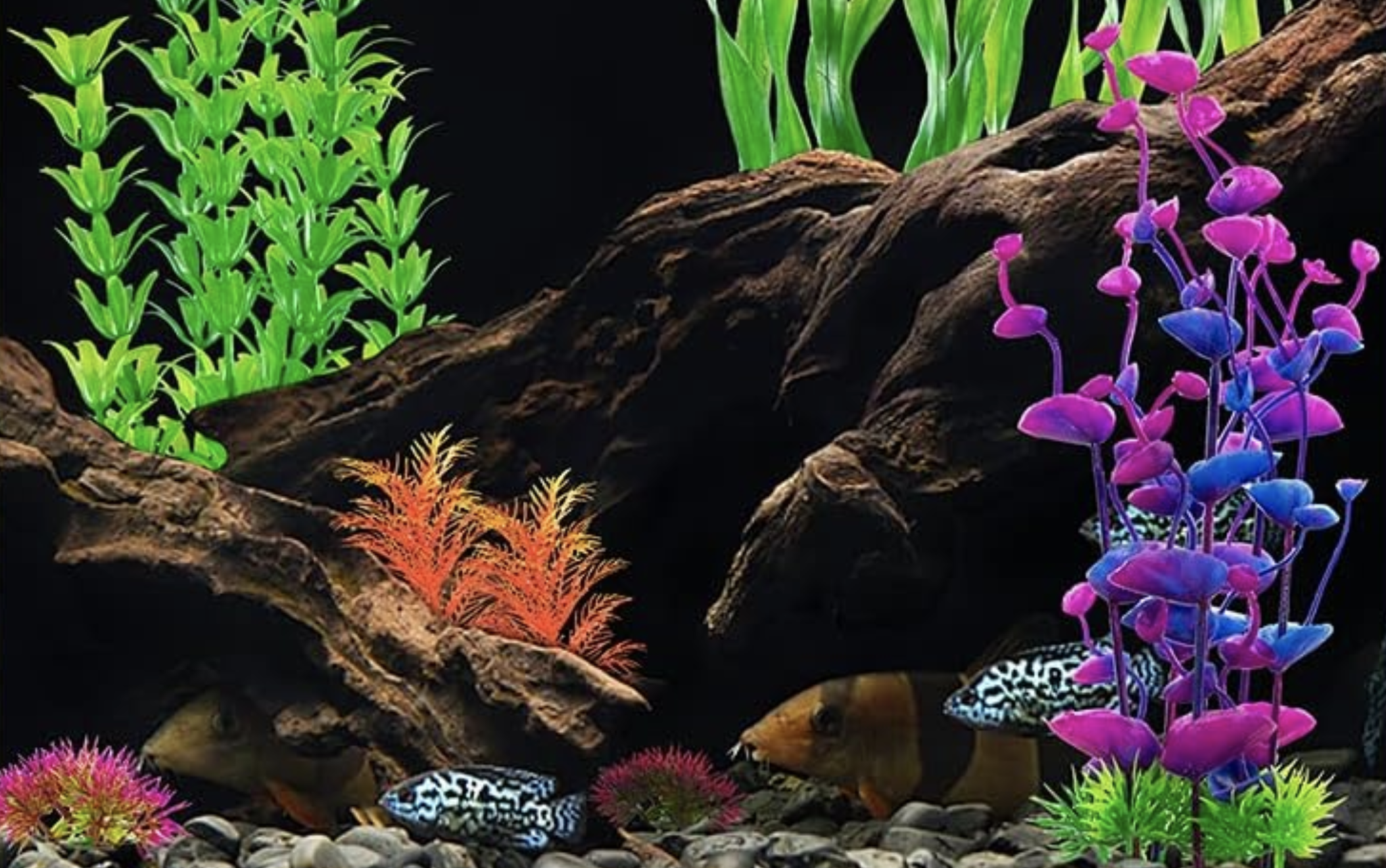 Photograph of fake artificial plants and a log inside a tropical fish tank