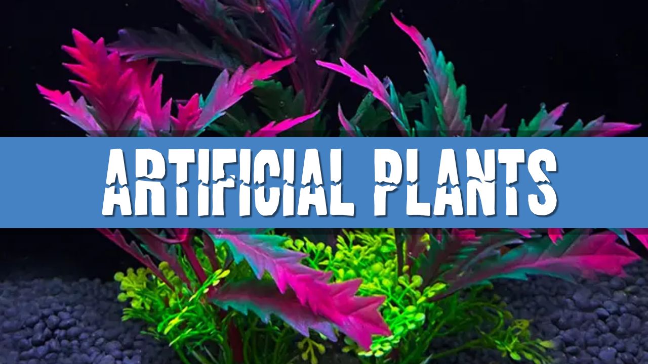 Article photo for Will artificial plants harm my fish