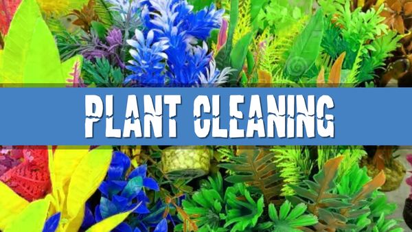 Article photo for How do I clean my artificial aquarium plants