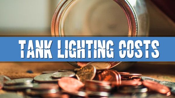 Article photo for How much does it cost to run my Aquarium Lighting
