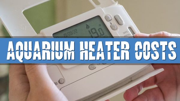 Article photo for How much does my Aquarium Heater cost to run
