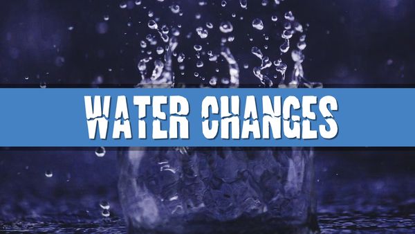 Article photo for How often should I perform a water change in my aquarium