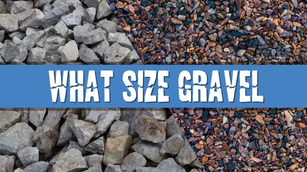 Article photo for Should I choose fine or coarse aquarium gravel