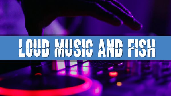 Article photo for Will loud music affect my aquarium fish