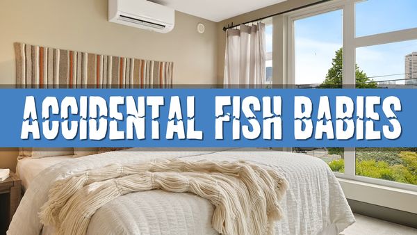 Article photo showing a bedroom with the text "Accidental Fish Babies"